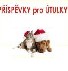 Vesel� V�noce  i opu�t�n�m pejsk�m, SUPER ZOO Olomouc pom�h� �tulku Vo���ek (aktualizov�no)