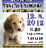 VO�ͩKI�DA 2012 II. ro�n�k v�stavy vo���k� a ps� bez PP