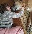 Adopce roku
