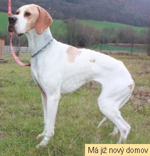 Florenz