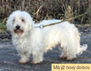 Deb�k