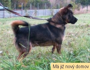 Al�k