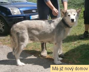 M�ja