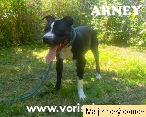 Arney