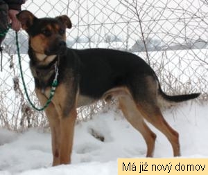 Bal�