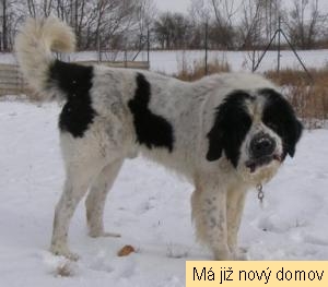 Bohou�ek