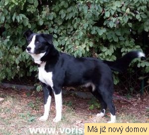 Carmen