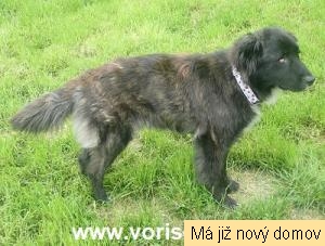 Charlotka- v l��en�