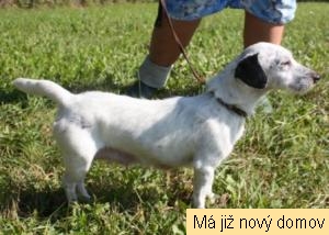 Dafy