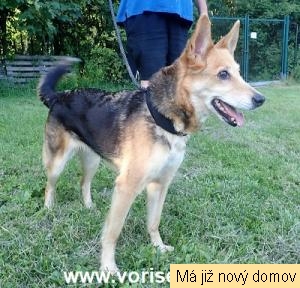 D�enka
