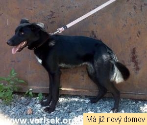 Dianka