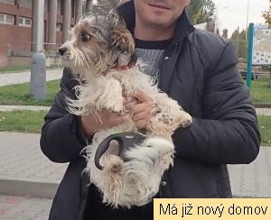 Figaro
