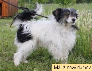 Fygo