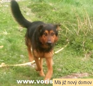 Max Max