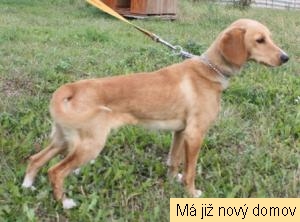Jiskra