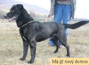 Karl�k