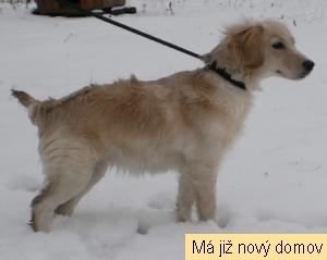 K�a