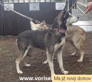 1.H Kl�rka