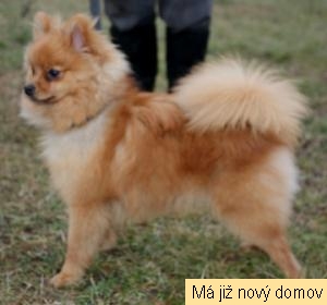 Kry�tof