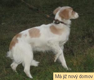 Mája Mája