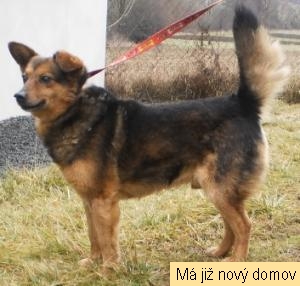 Majk