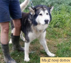 Max