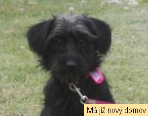M�na