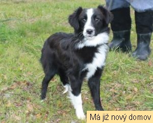 M�na