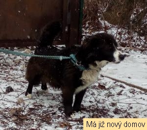 Mi�onka