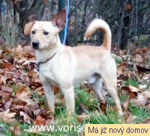 Moritz