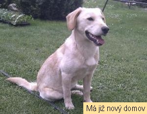 Muf�k II.