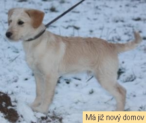 Muf�k