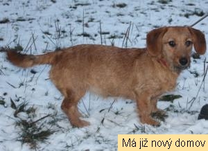 Niki