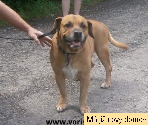 Nero-Max