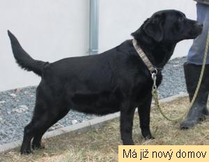 Prisila