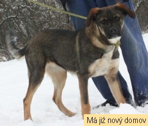 Rom�k