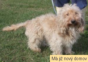 Ros�a