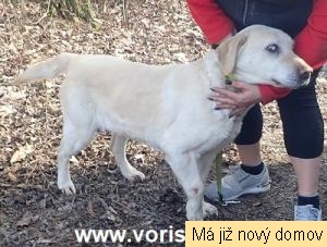 Roz�rka