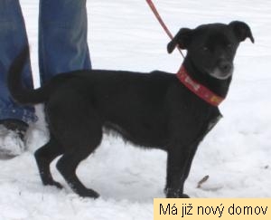 Sant�na