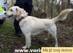 �aryk