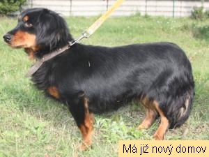 Silvinka