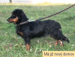 �imon