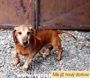 �imonek