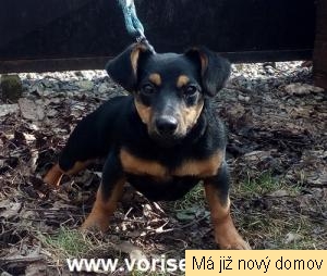 �moulinka