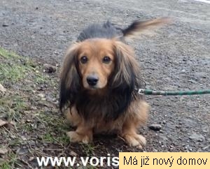 �mudla