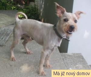 mudla