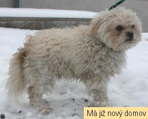 �mudla