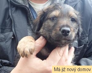 �t���tko �.1