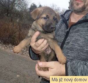 �t���tko �.1