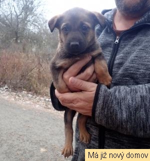 �t���tko �.2